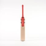 GN Astro 5 Star Adult Cricket Bat