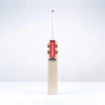 GN Ventus 1.1 5 Star Lite Cricket Bat - Adult