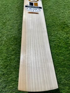 BAT 1